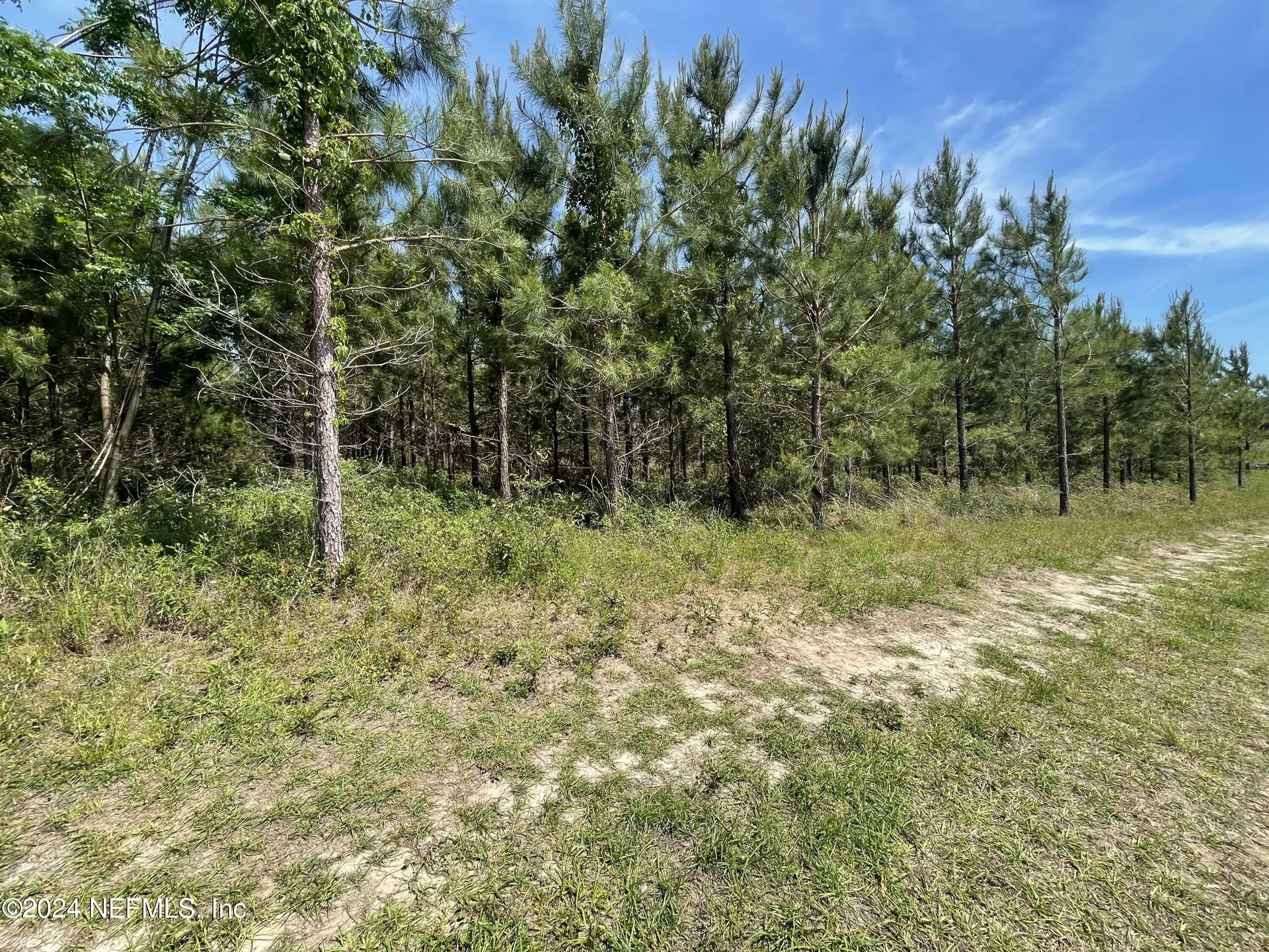 3600 NE Rocky Ford Road Madison FL 32340