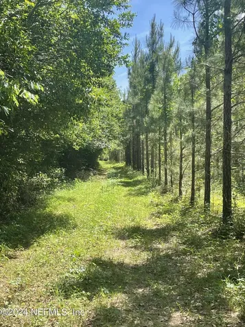 3600 NE Rocky Ford Road Madison FL 32340
