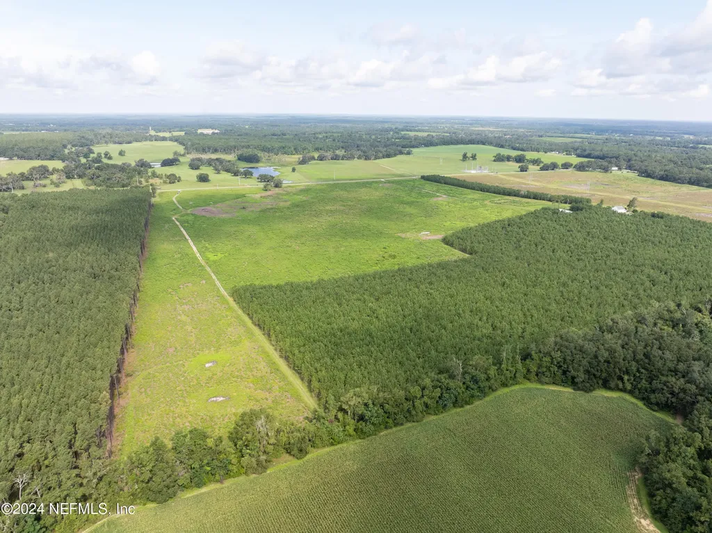 3500 NE Rocky Ford Road Madison FL 32340