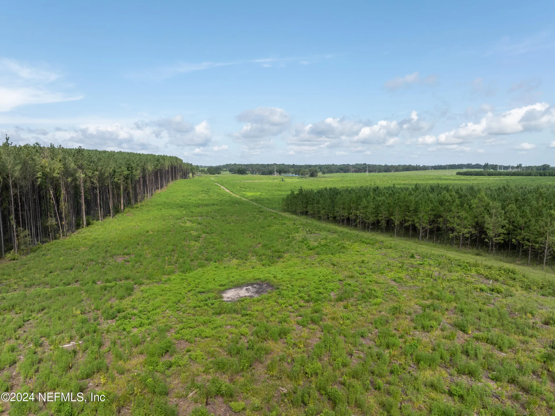3500 NE Rocky Ford Road Madison FL 32340