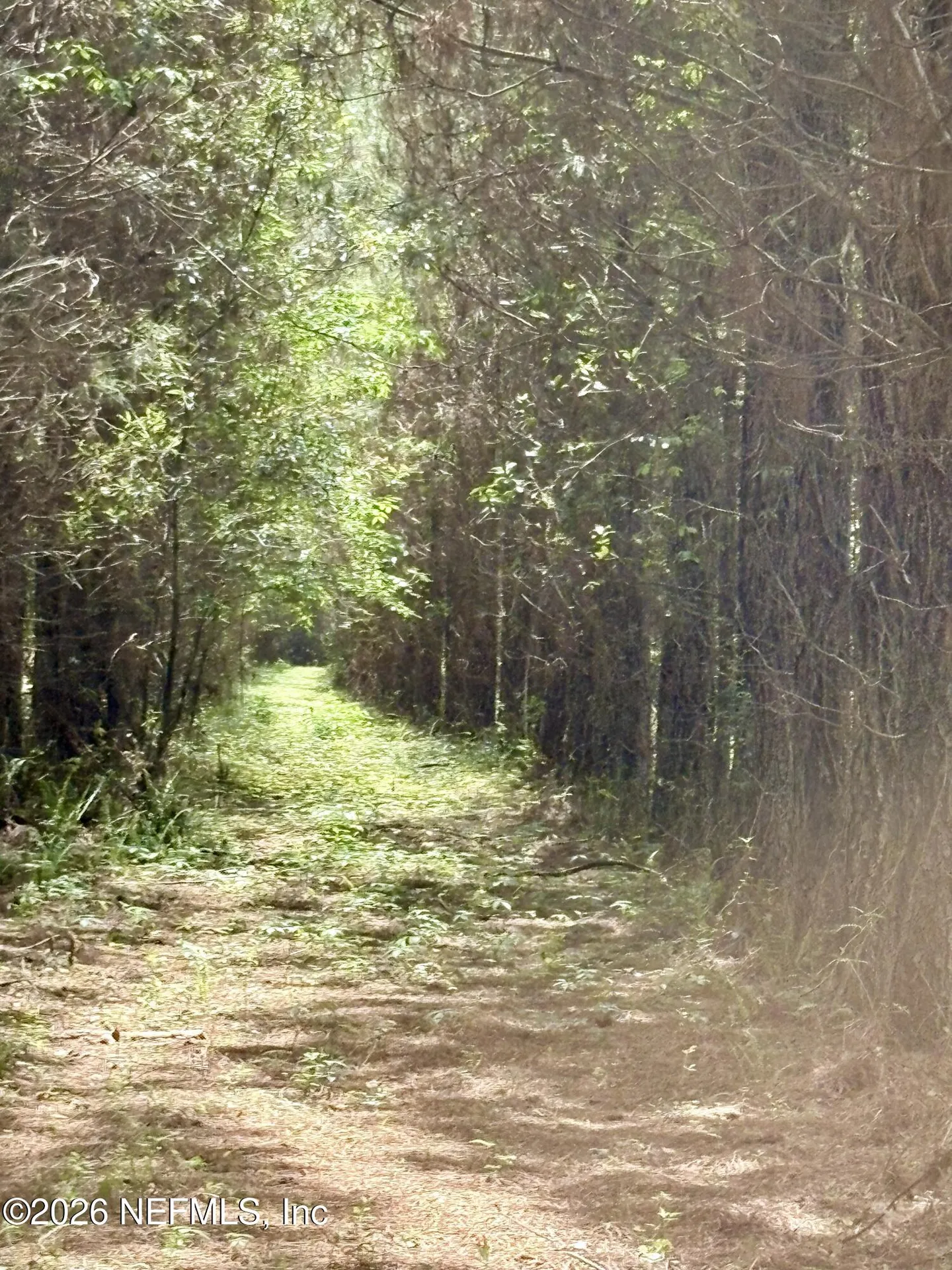 3500 NE Rocky Ford Road Madison FL 32340