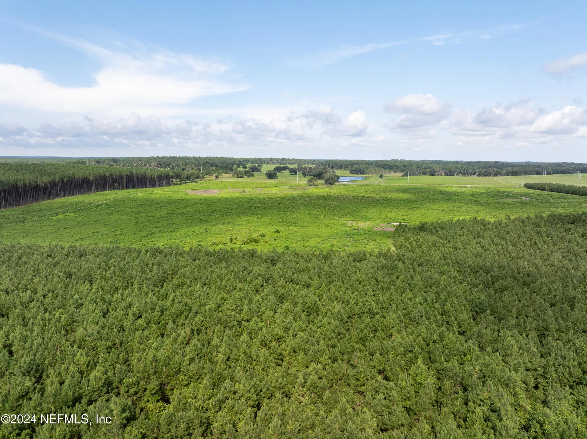 3500 NE Rocky Ford Road Madison FL 32340
