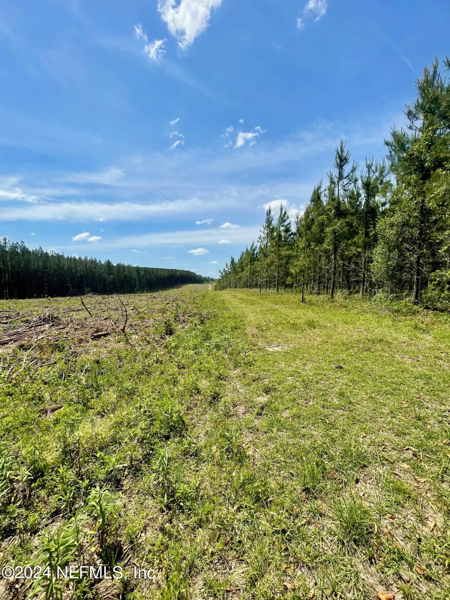 3500 NE Rocky Ford Road Madison FL 32340