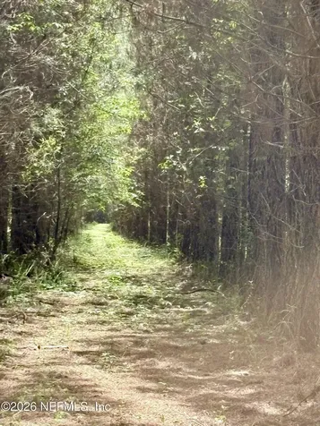 3500 NE Rocky Ford Road Madison FL 32340