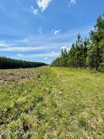 3500 NE Rocky Ford Road Madison FL 32340