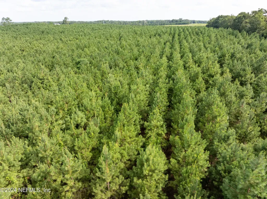 VACANT88 NE Rocky Ford Road Madison FL 32340