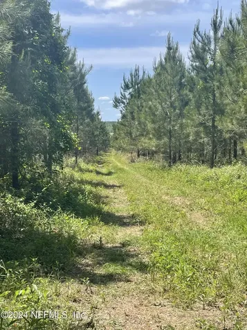 VACANT88 NE Rocky Ford Road Madison FL 32340