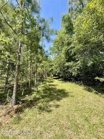 VACANT88 NE Rocky Ford Road Madison FL 32340