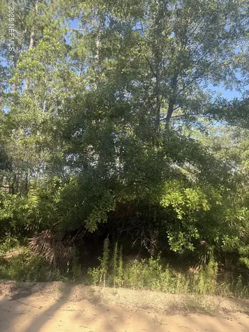 0030 Evans Interlachen FL 32148