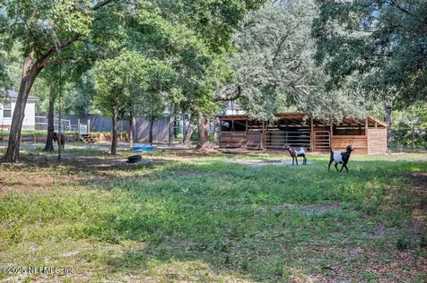 11707 Wynell Road Jacksonville FL 32218