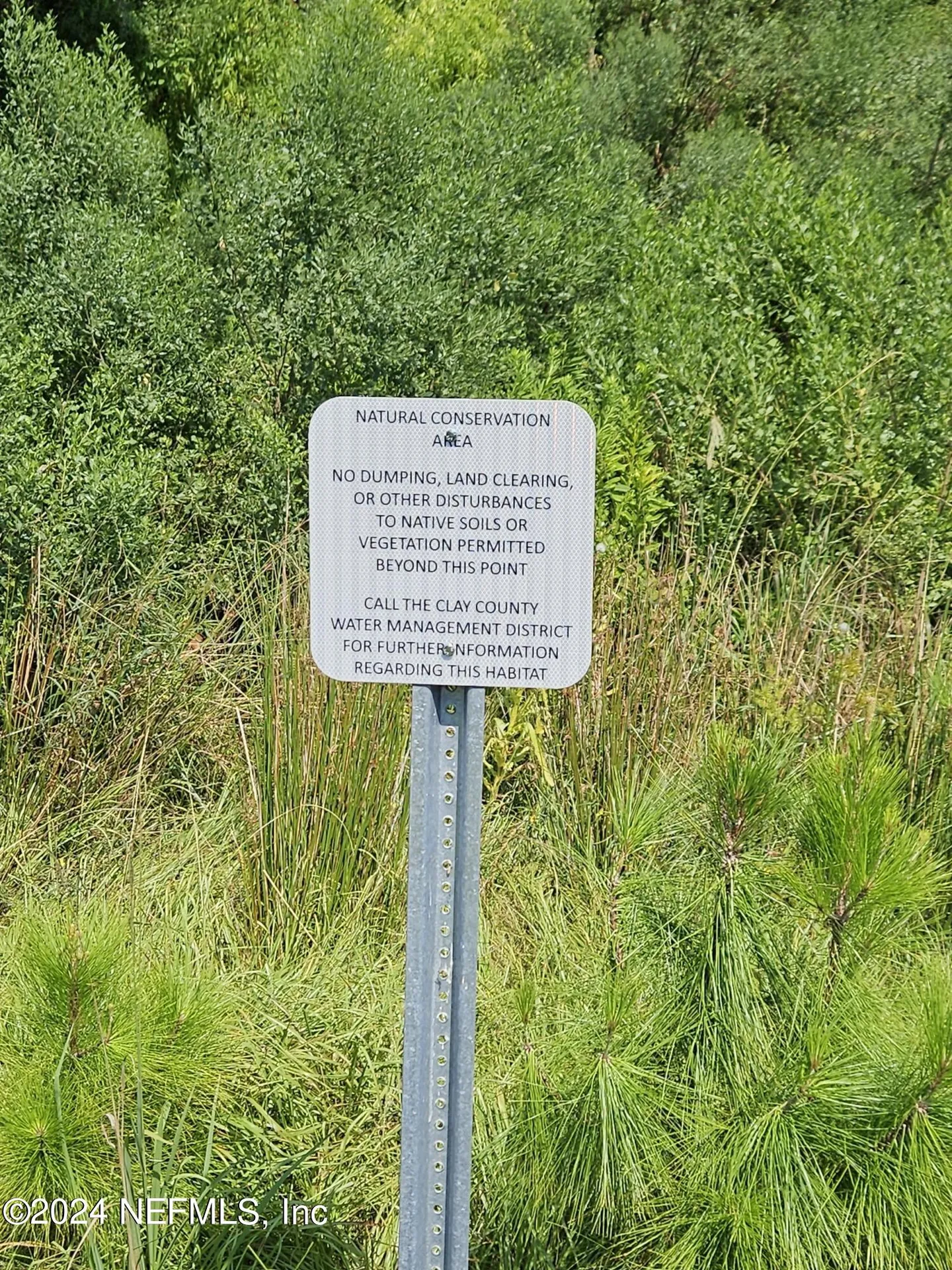 2937 Crossfield Drive Green Cove Springs FL 32043