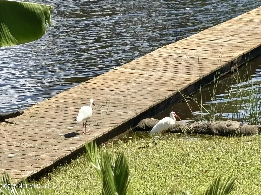 5590 La Moya Avenue Jacksonville FL 32210