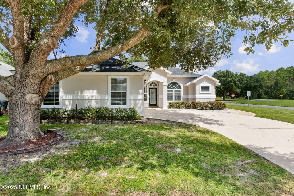 3056 Seth Drive Green Cove Springs FL 32043
