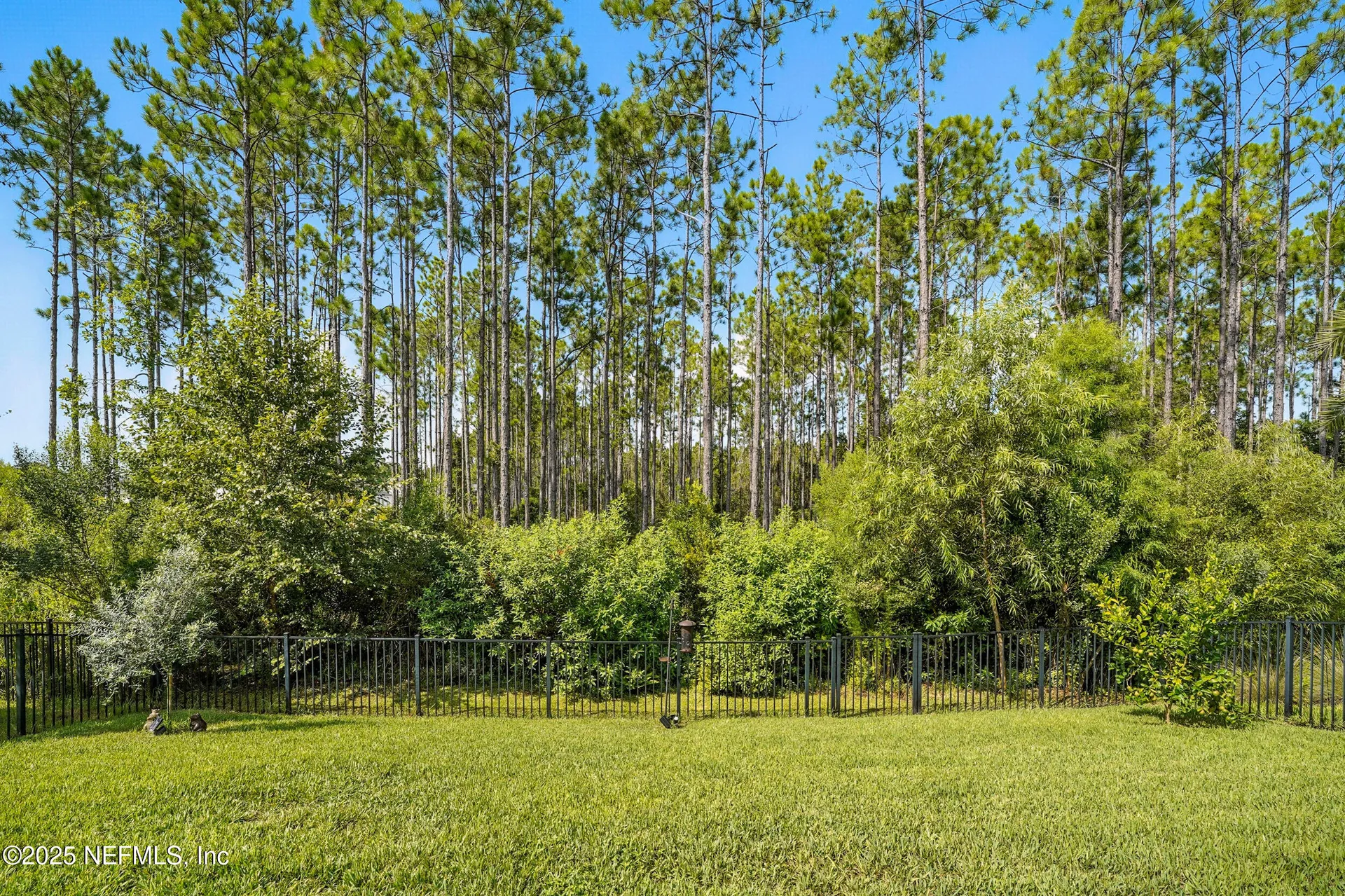 269 Constitution Drive Ponte Vedra FL 32081