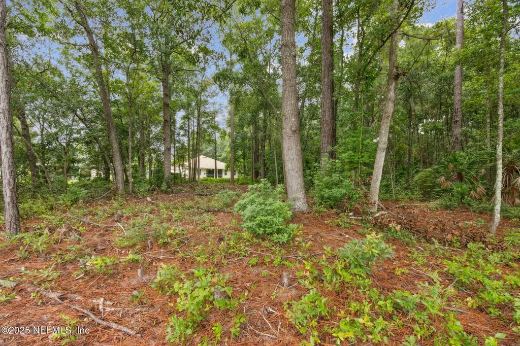 96059 Abaco Island Drive Fernandina Beach FL 32034