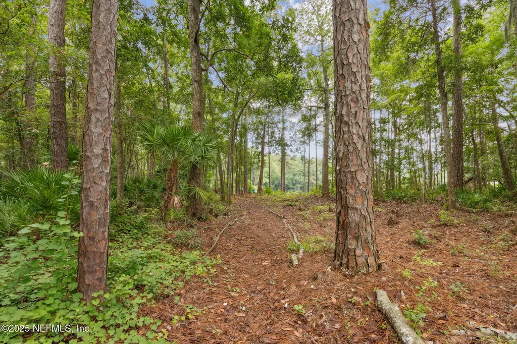 96059 Abaco Island Drive Fernandina Beach FL 32034