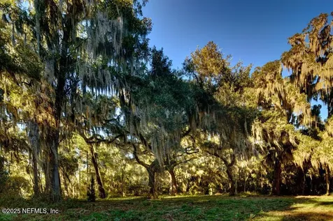 391 Oakmoss Drive St. Johns FL 32259