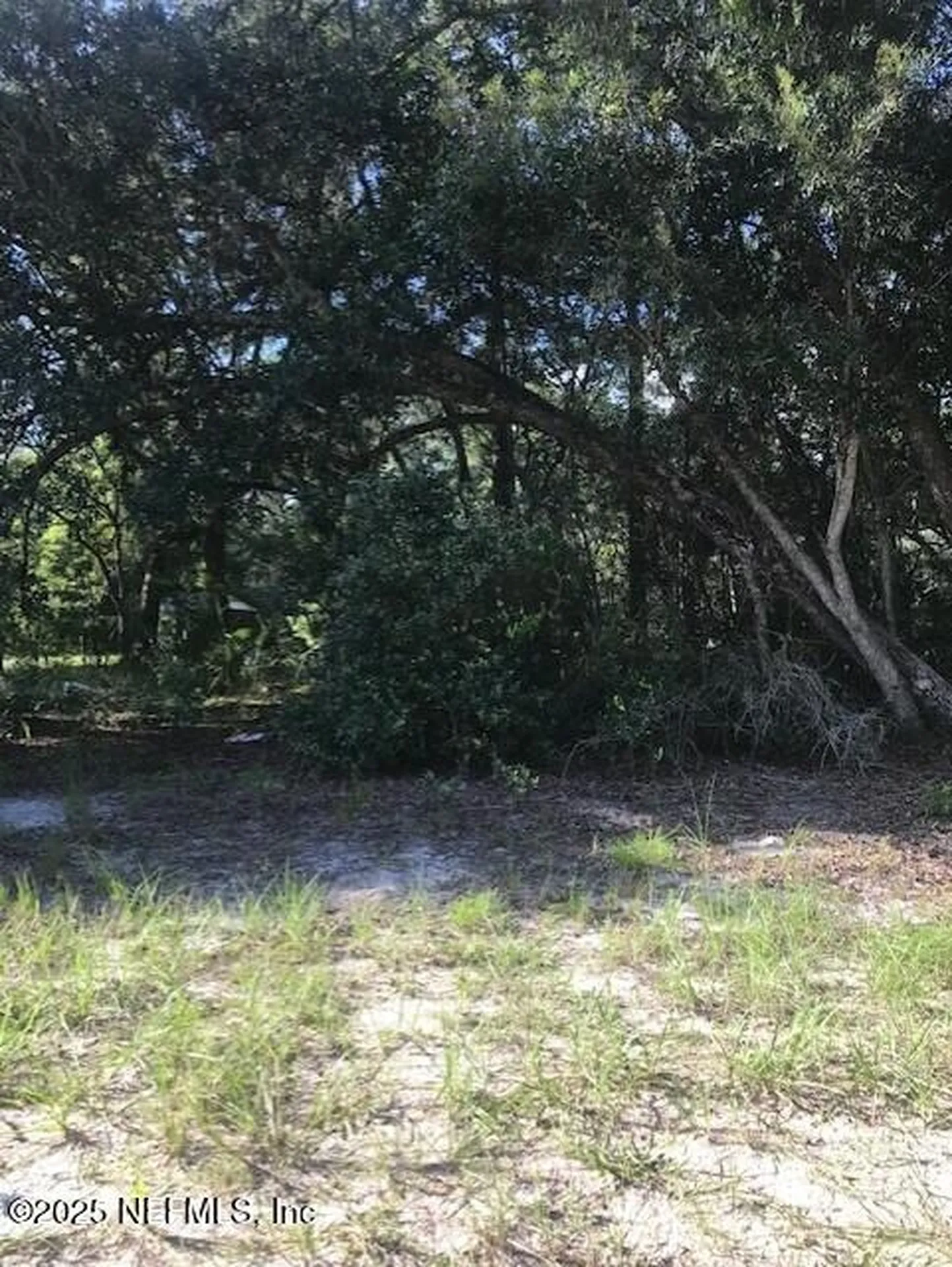 114 Heinz Road Hawthorne FL 32640
