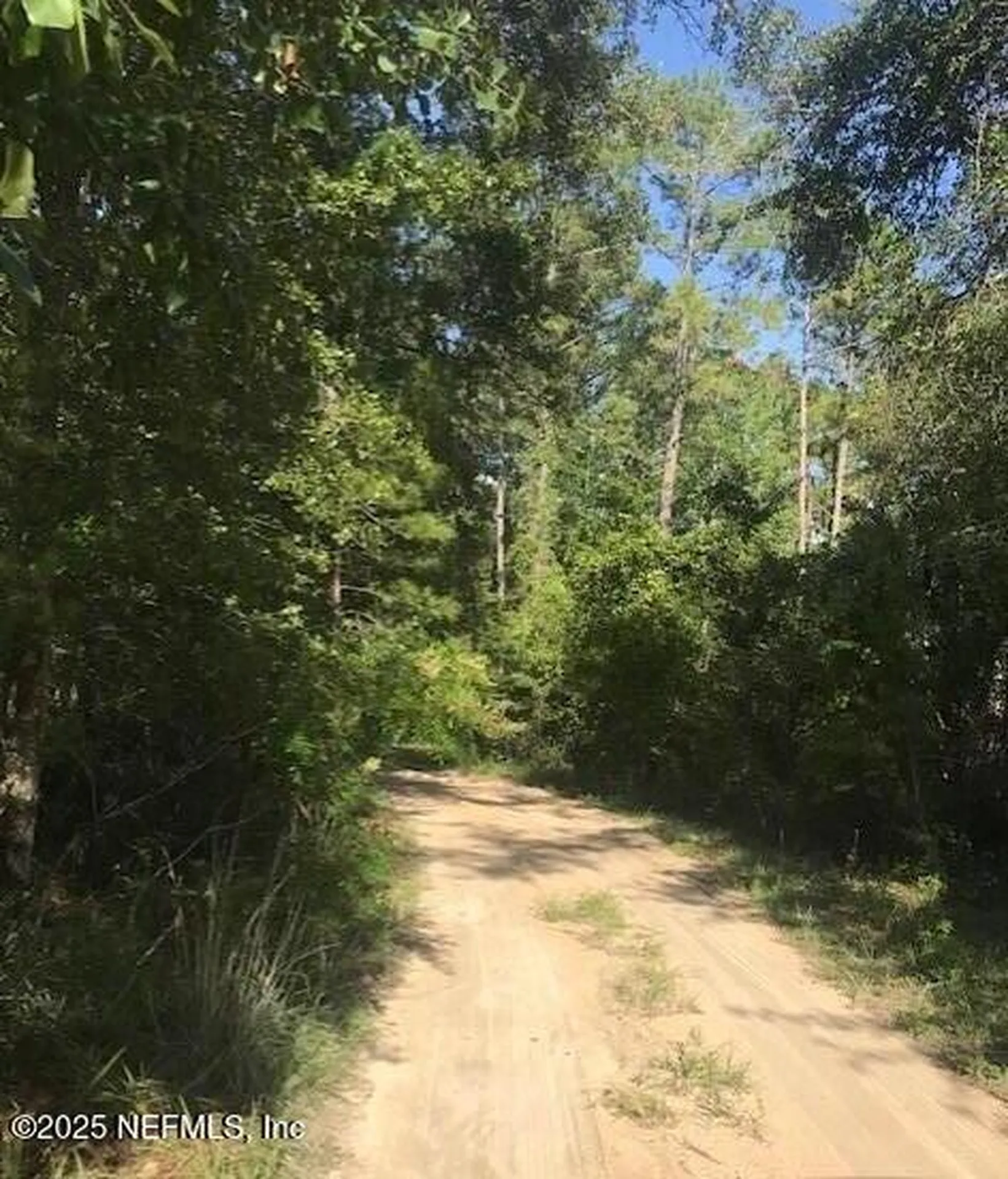 114 Heinz Road Hawthorne FL 32640