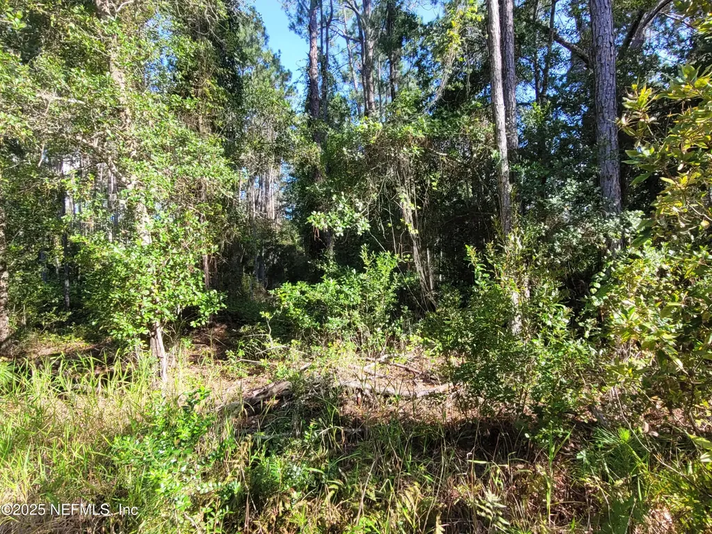225 Carteret Road Georgetown FL 32139