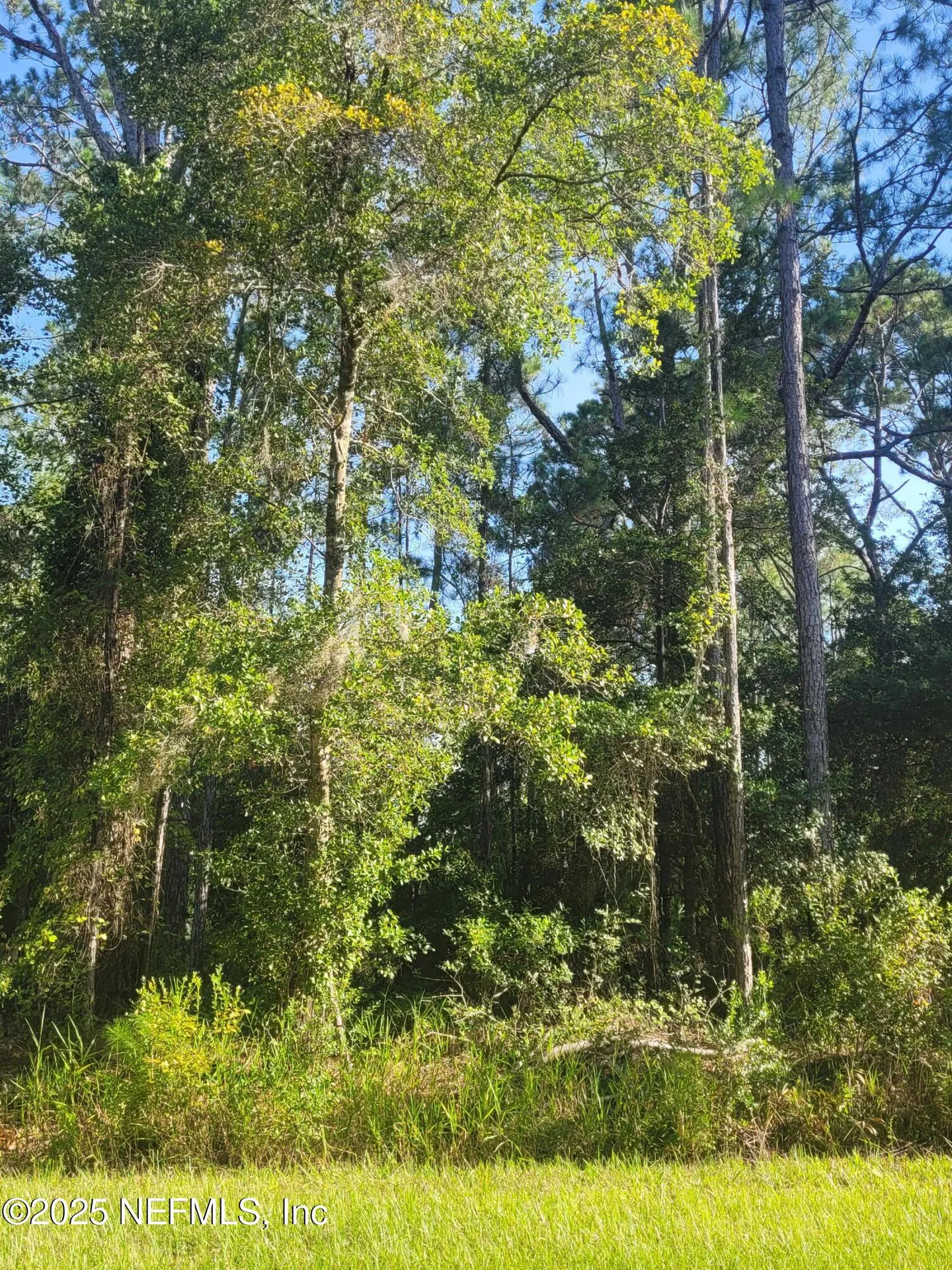 225 Carteret Road Georgetown FL 32139