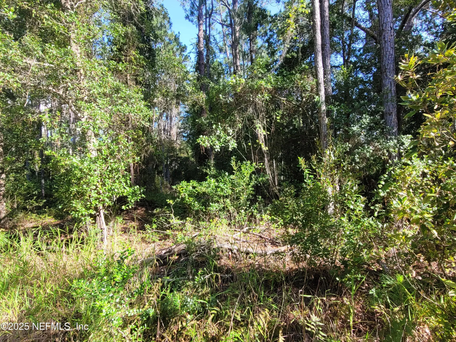 225 Carteret Road Georgetown FL 32139