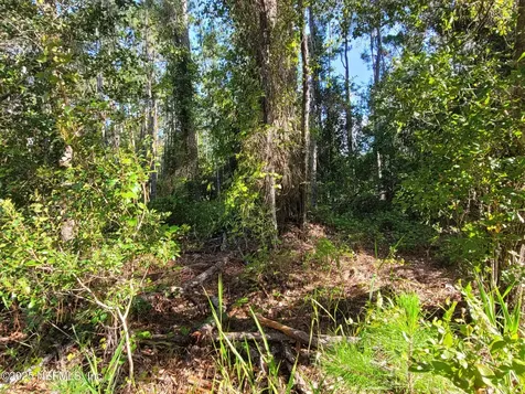 225 Carteret Road Georgetown FL 32139