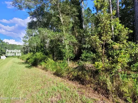 225 Carteret Road Georgetown FL 32139