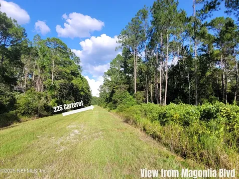 225 Carteret Road Georgetown FL 32139