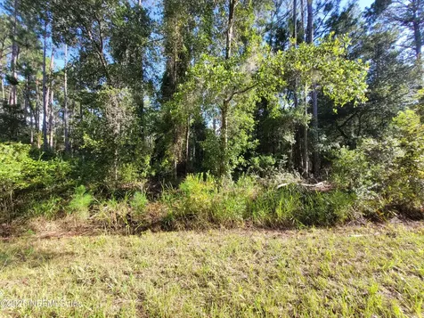 225 Carteret Road Georgetown FL 32139