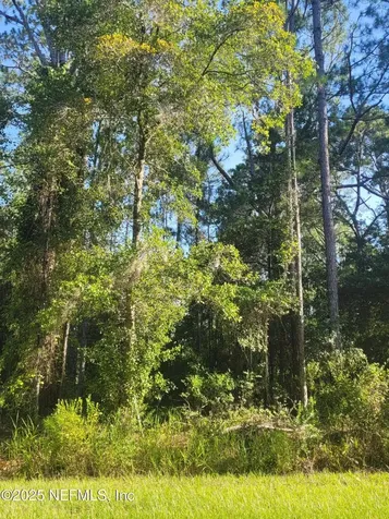 225 Carteret Road Georgetown FL 32139