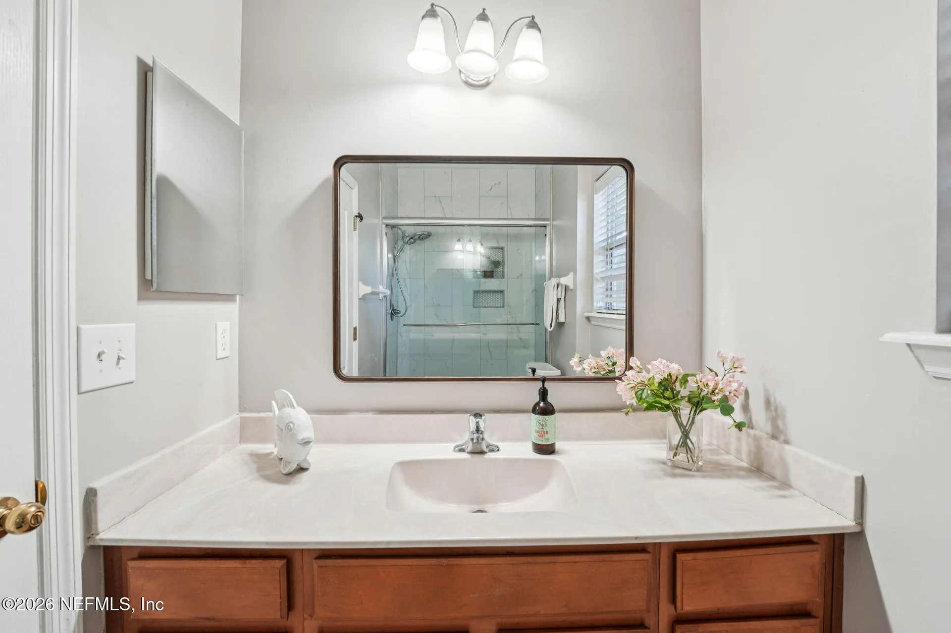343 Brier Rose Lane Orange Park FL 32065