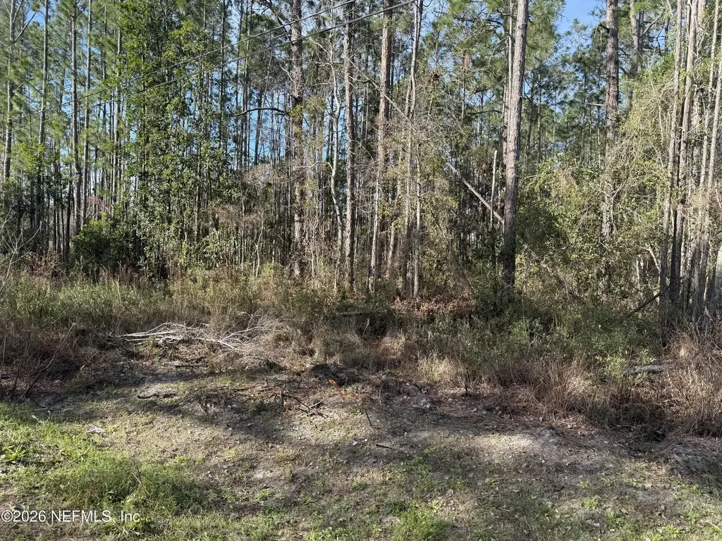 0 Wolf Trail Middleburg FL 32068