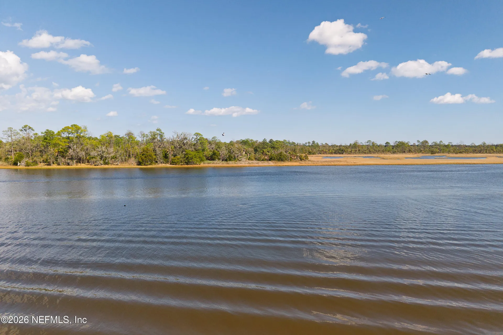 794 S Harbor Lights Ponte Vedra FL 32081