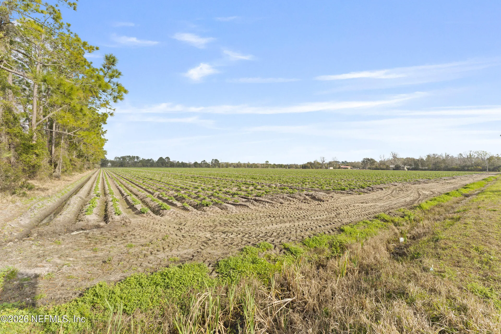 0 Carter Crabtree Road East Palatka FL 32131