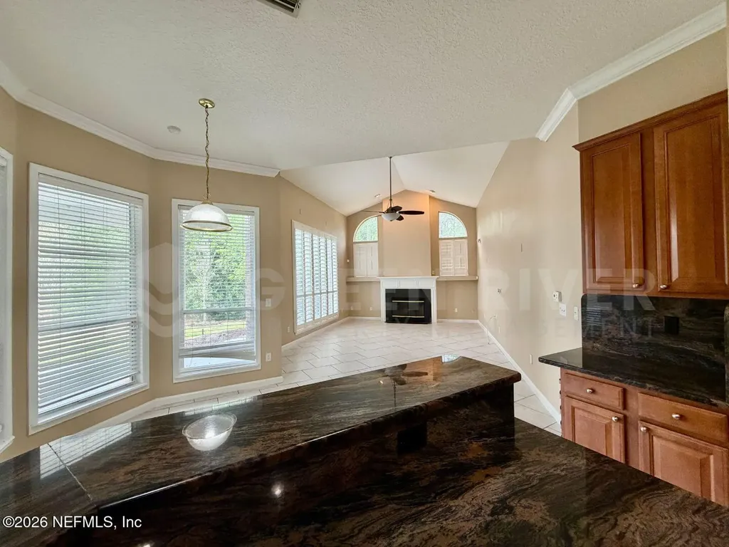 1462 Scenic Oaks Drive Orange Park FL 32065