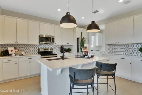 96091 Carrera Way Fernandina Beach FL 32034