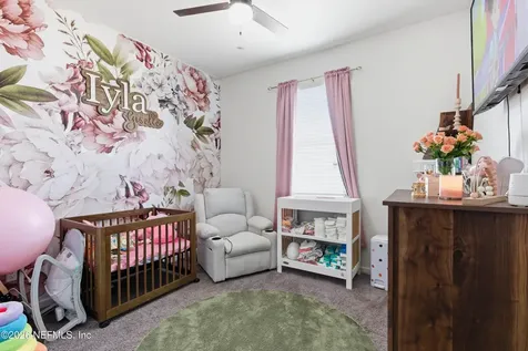 1507 Tropical Pine Cove Middleburg FL 32068