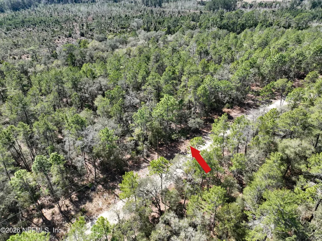 143 Florida Boulevard Satsuma FL 32189