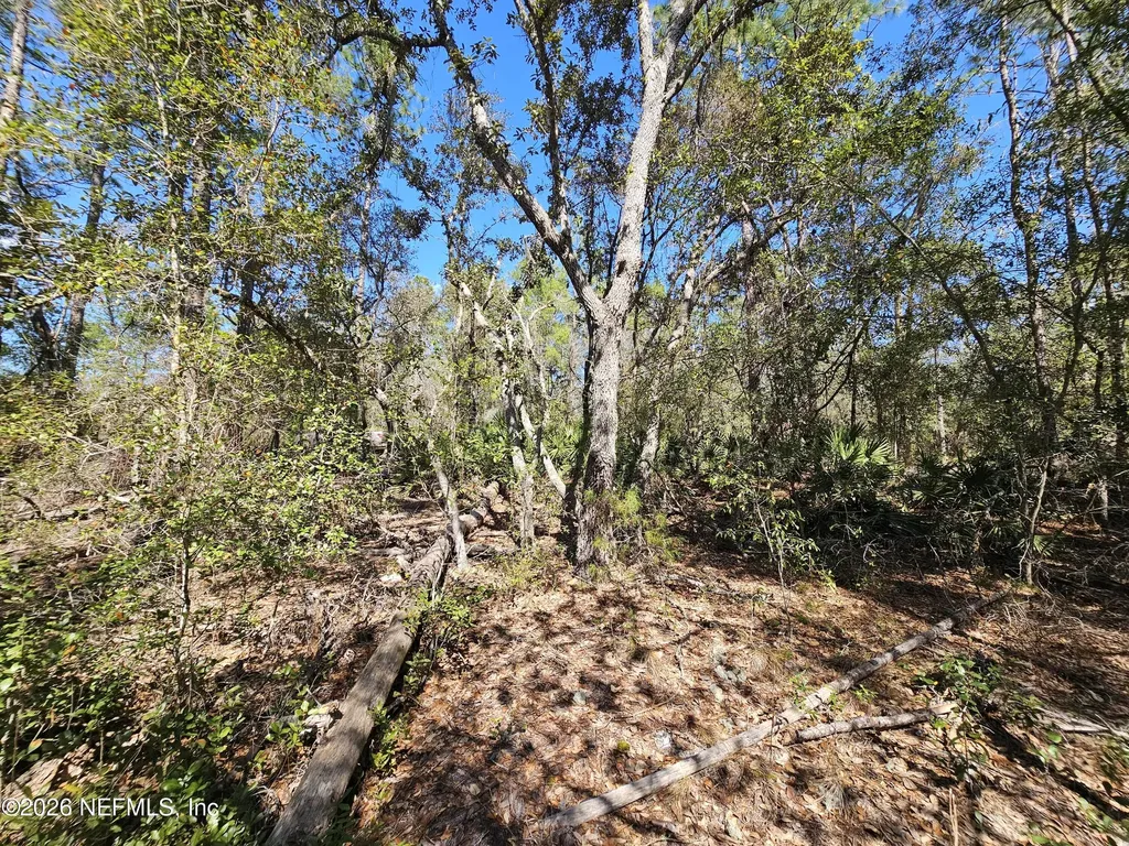 143 Florida Boulevard Satsuma FL 32189