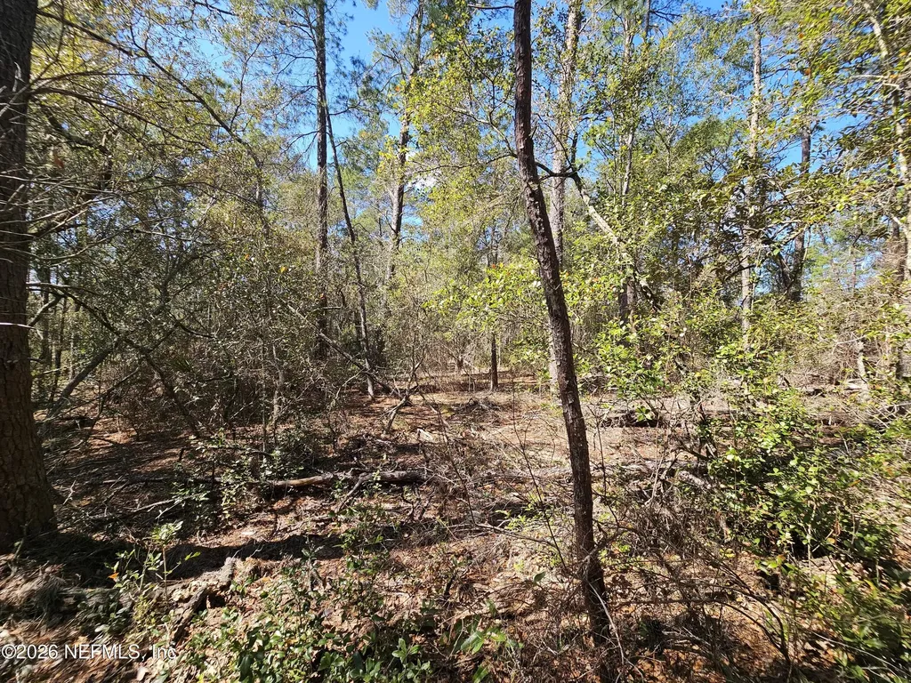 143 Florida Boulevard Satsuma FL 32189