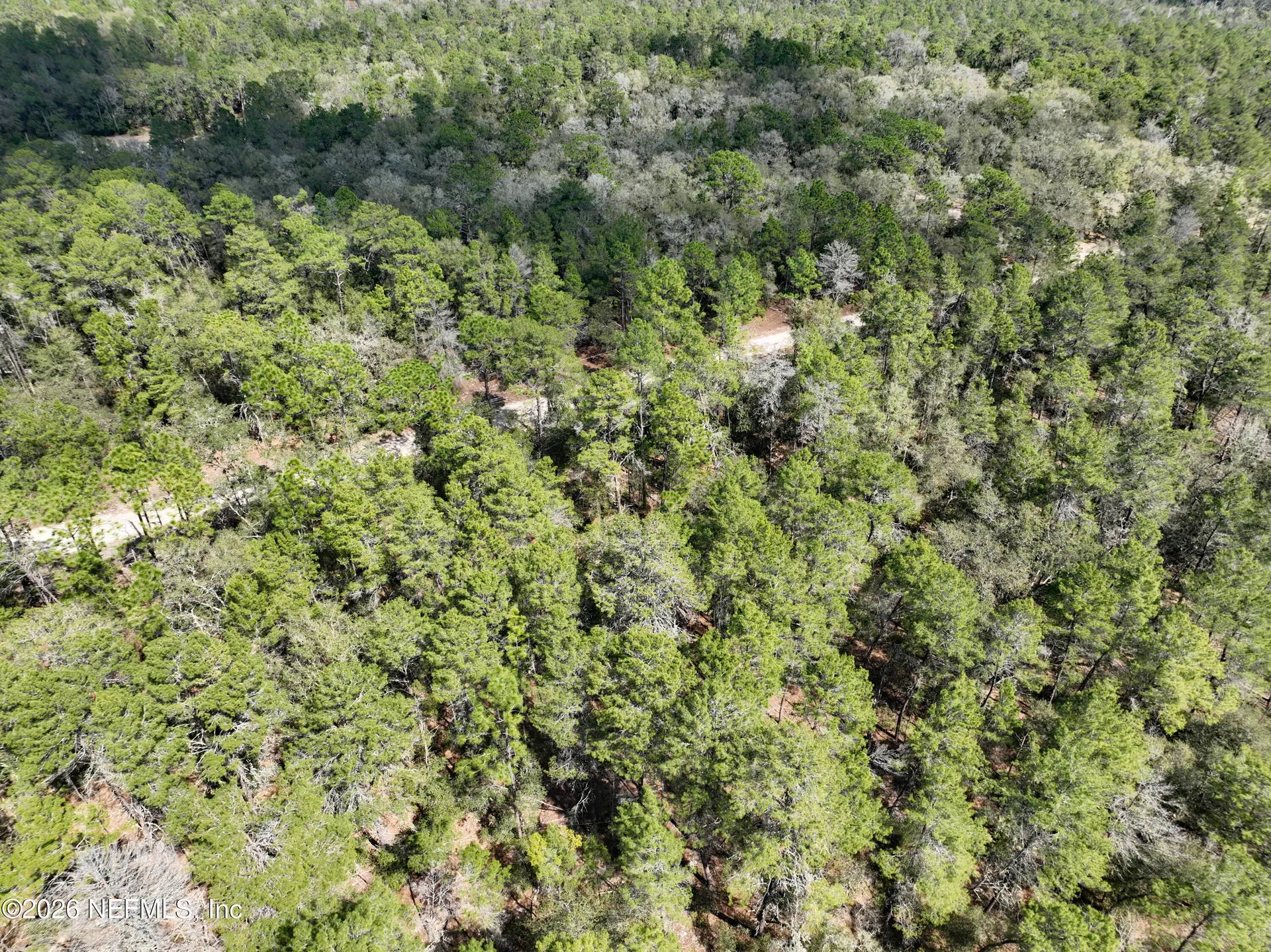 143 Florida Boulevard Satsuma FL 32189