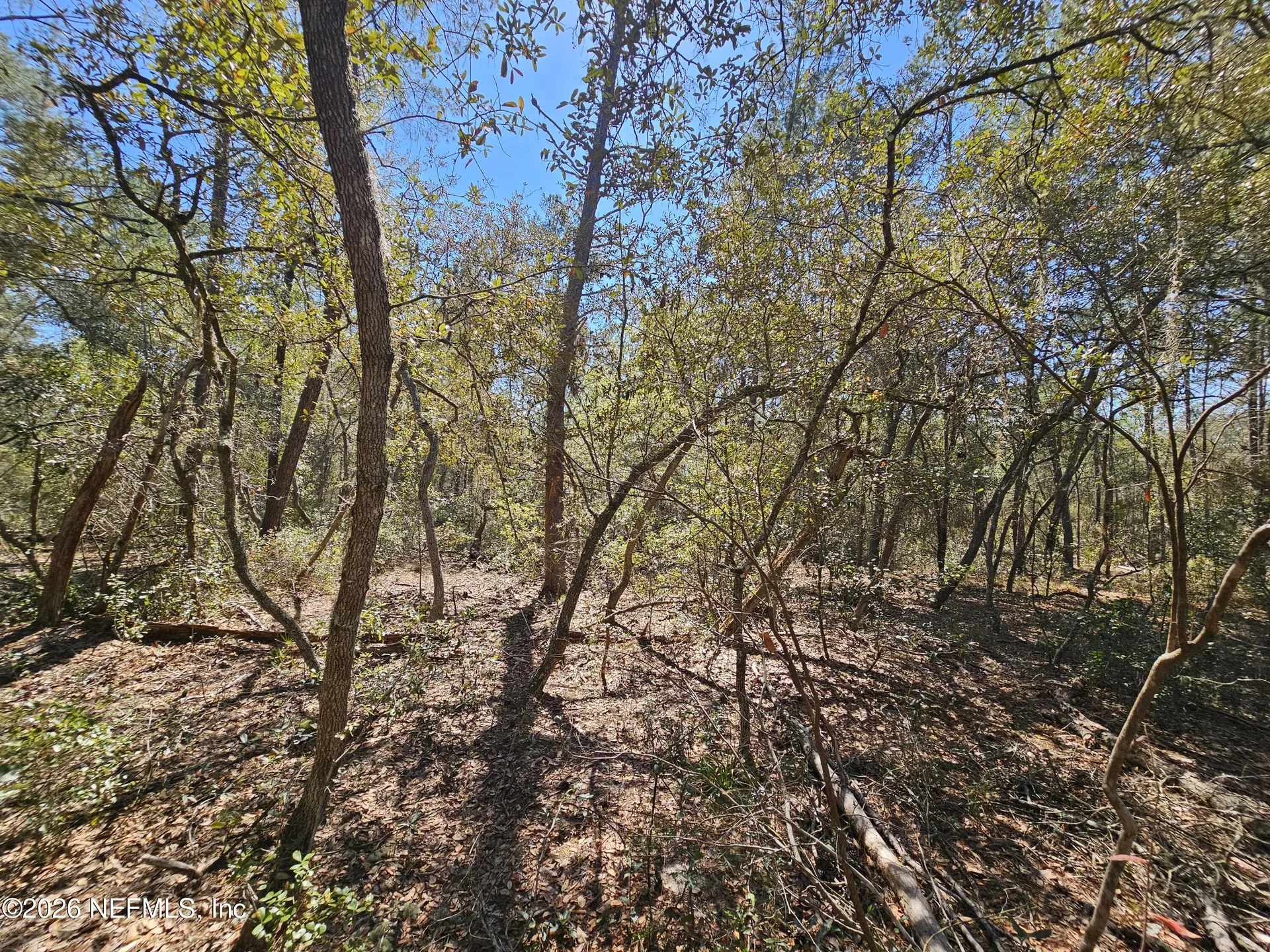 143 Florida Boulevard Satsuma FL 32189