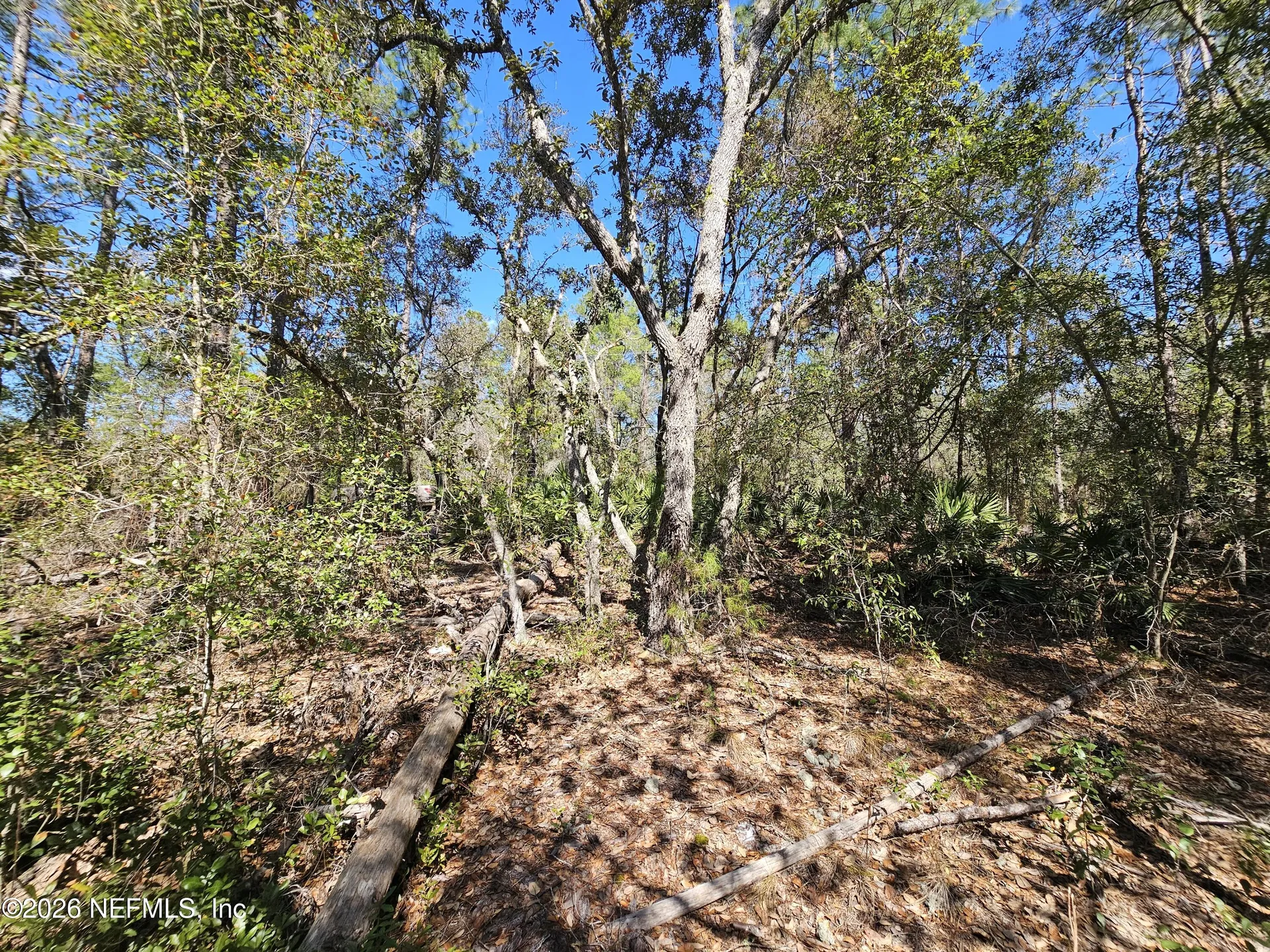 143 Florida Boulevard Satsuma FL 32189