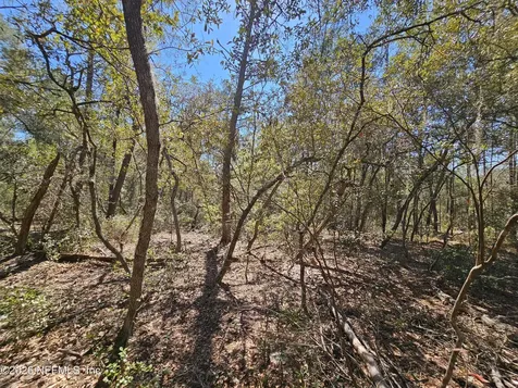 143 Florida Boulevard Satsuma FL 32189