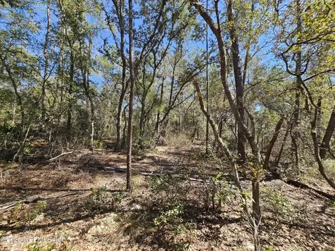143 Florida Boulevard Satsuma FL 32189