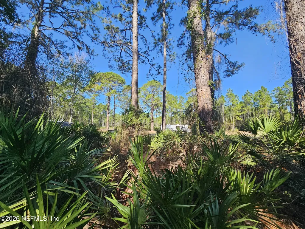 127 Roebuck Street Georgetown FL 32139