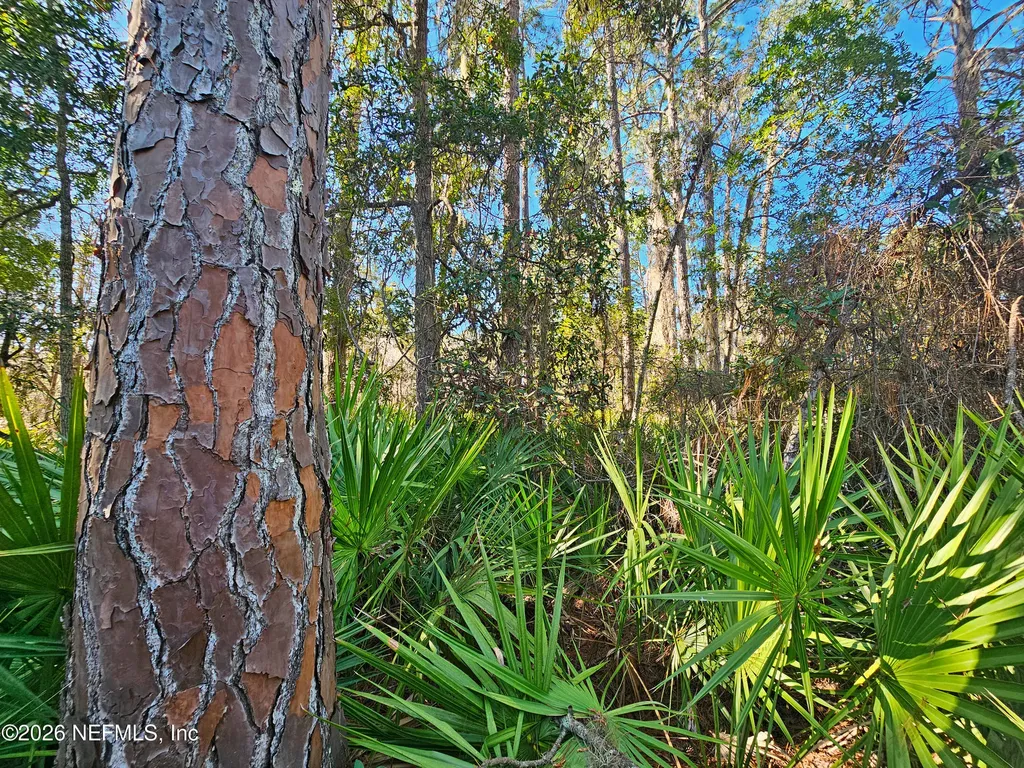 127 Roebuck Street Georgetown FL 32139