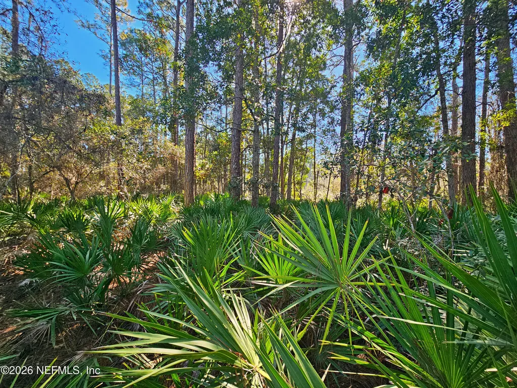 127 Roebuck Street Georgetown FL 32139