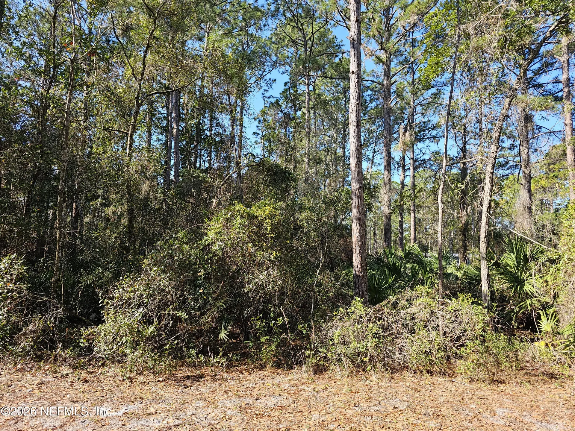 127 Roebuck Street Georgetown FL 32139